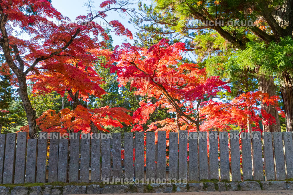 和歌山県　高野山　壇上伽藍　紅葉　三昧堂付近