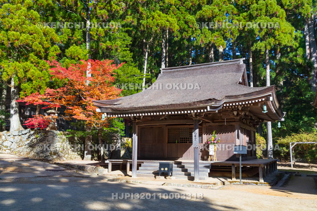和歌山県　高野山　壇上伽藍　紅葉と孔雀堂