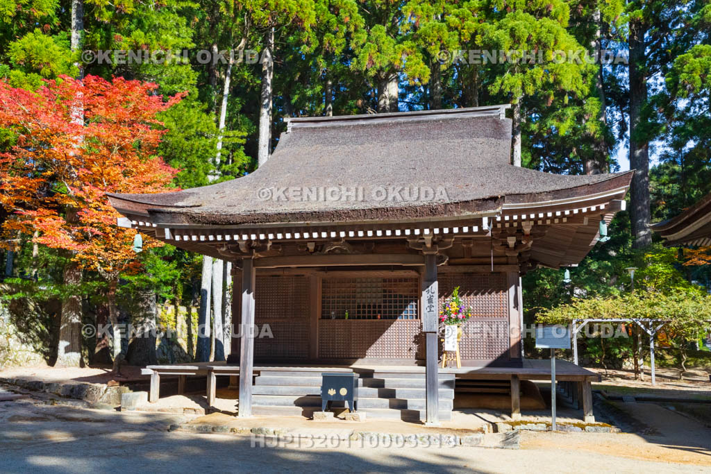 和歌山県　高野山　壇上伽藍　紅葉と孔雀堂