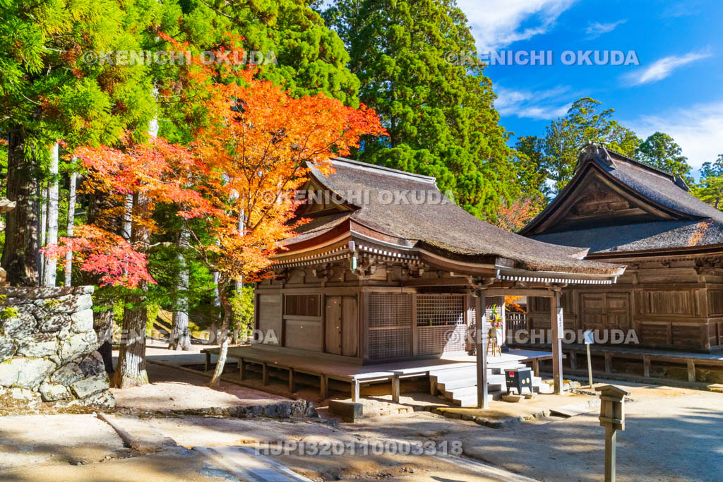 和歌山県　高野山　壇上伽藍　紅葉と孔雀堂