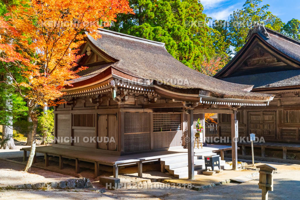 和歌山県　高野山　壇上伽藍　紅葉と孔雀堂