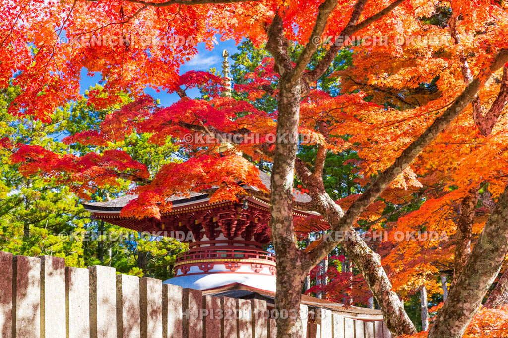 和歌山県　高野山　壇上伽藍　紅葉と東塔