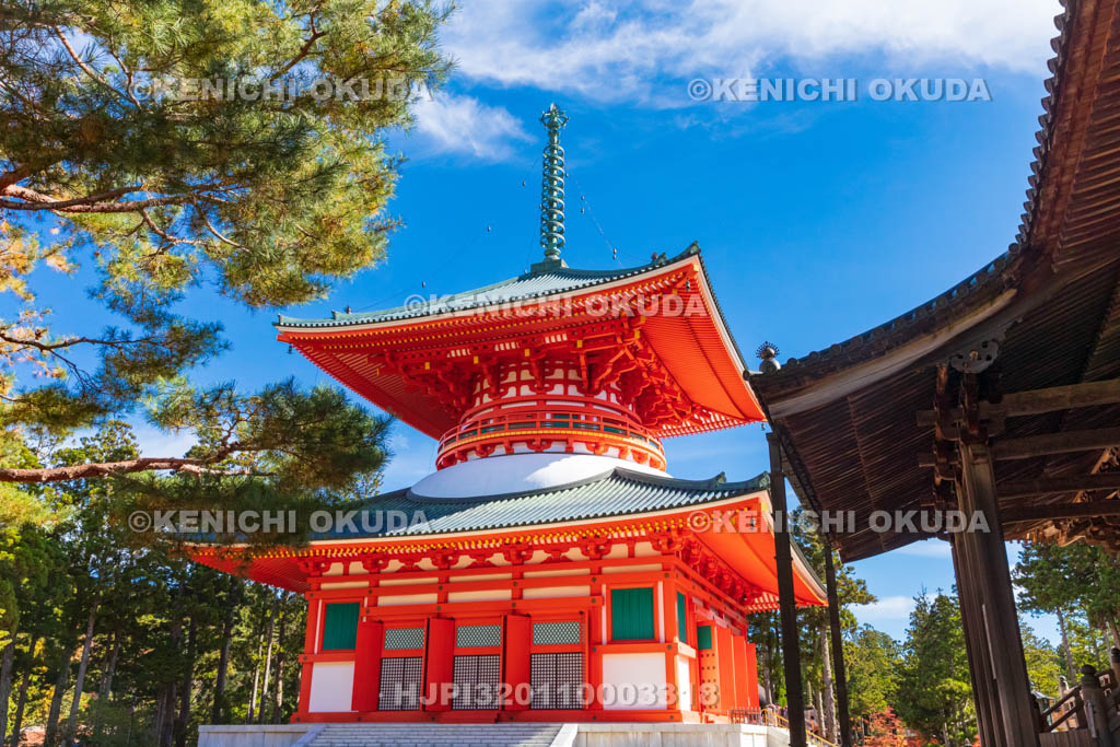 和歌山県　高野山　壇上伽藍　根本大塔