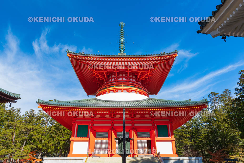 和歌山県　高野山　壇上伽藍　根本大塔