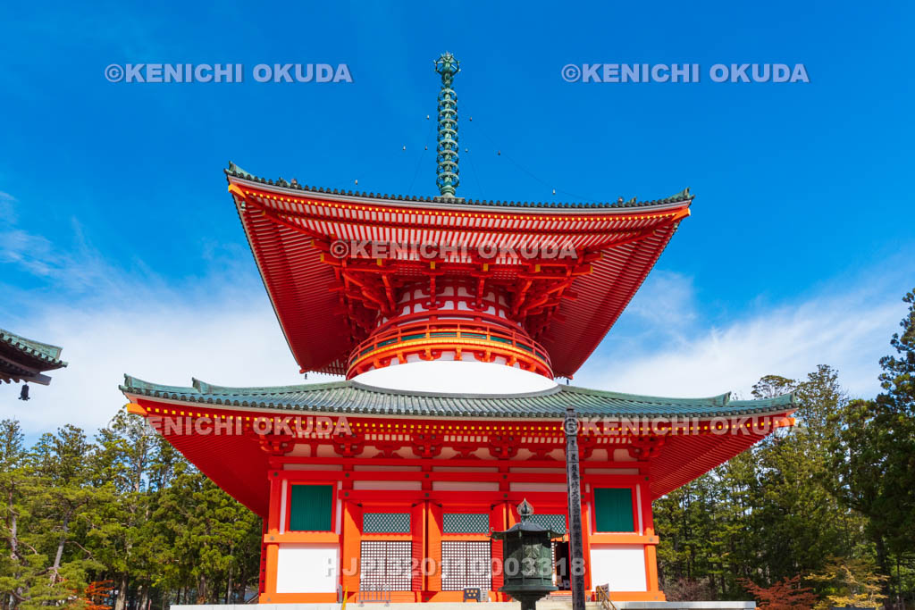 和歌山県　高野山　壇上伽藍　根本大塔