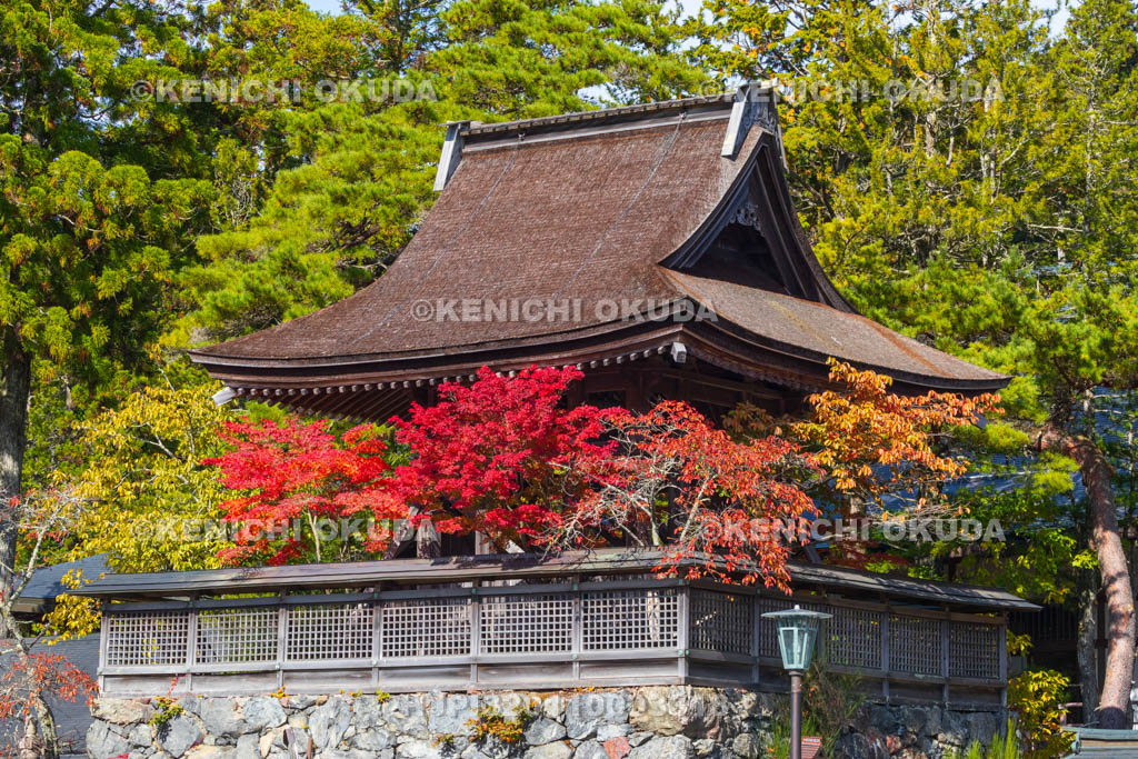 和歌山県　高野山　紅葉と六時の鐘