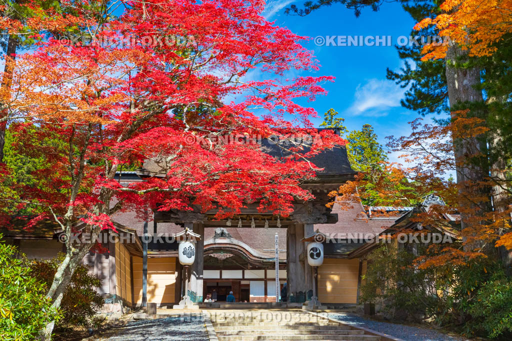 和歌山県　高野山　金剛峯寺　紅葉と正門