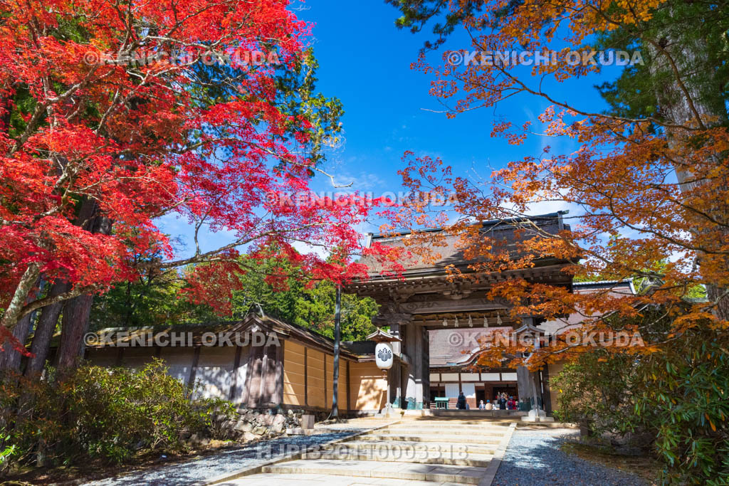 和歌山県　高野山　金剛峯寺　紅葉と正門