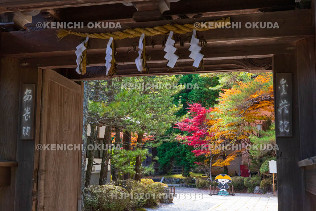 和歌山県　高野山　紅葉と安養院（金蔵院）