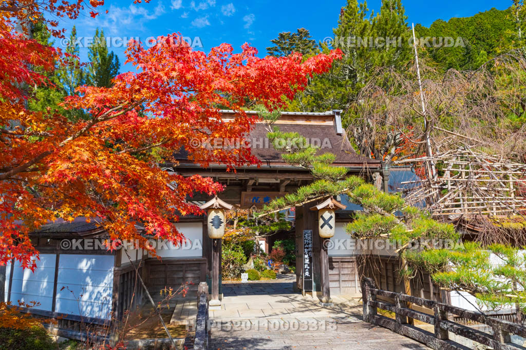 和歌山県　高野山　紅葉と高祖院（三宝院）