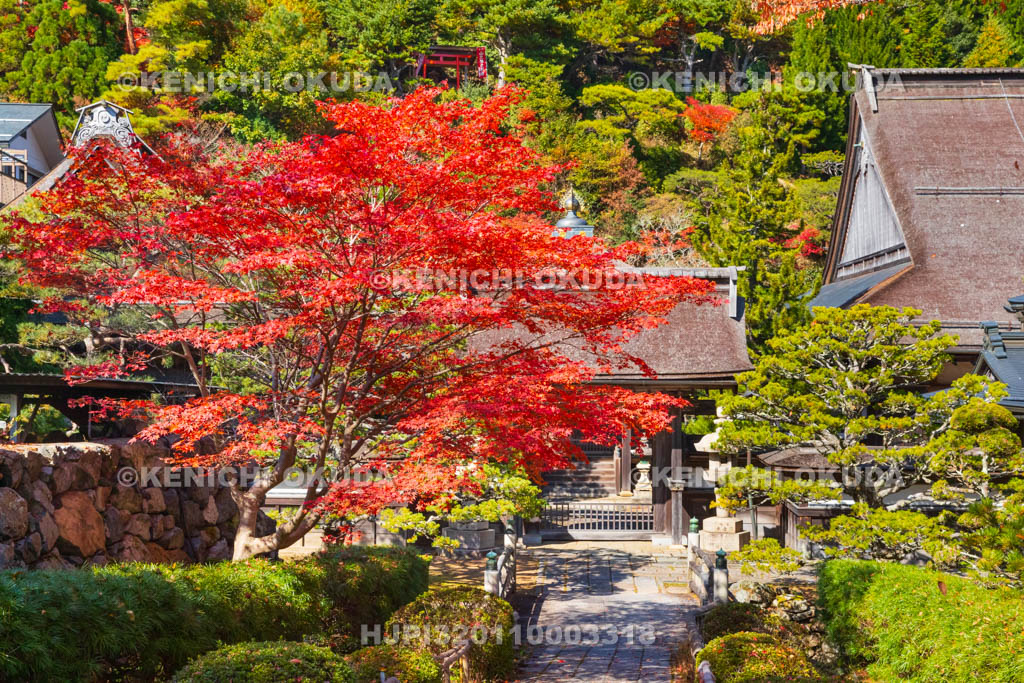 和歌山県　高野山　紅葉と清浄心院