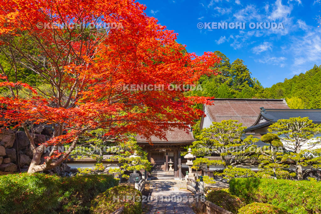 和歌山県　高野山　紅葉と清浄心院