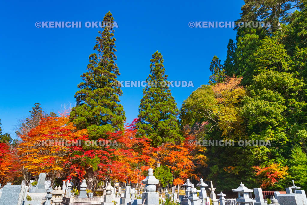 和歌山県　高野山　紅葉と奥の院墓地