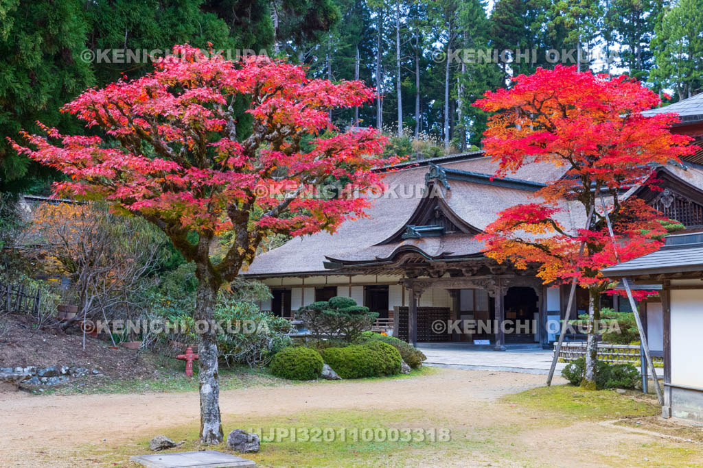 和歌山県　高野山　金剛三昧院　紅葉と客殿・台所
