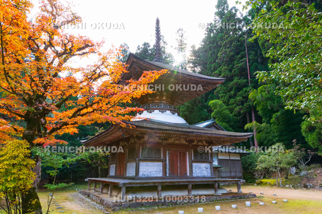 和歌山県　高野山　金剛三昧院　紅葉と多宝塔