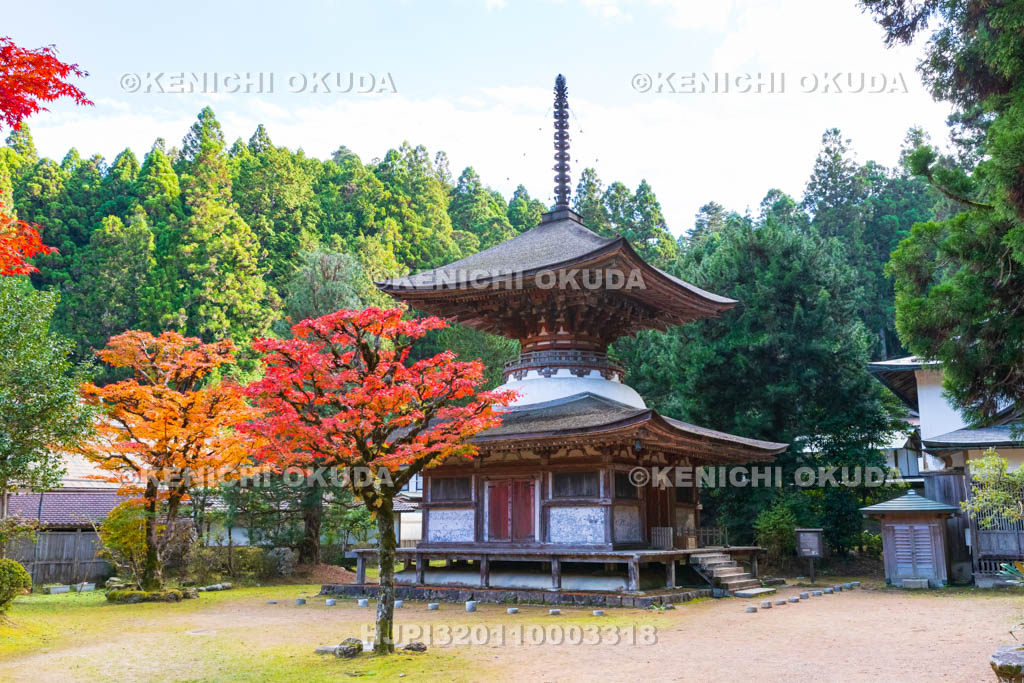 和歌山県　高野山　金剛三昧院　紅葉と多宝塔