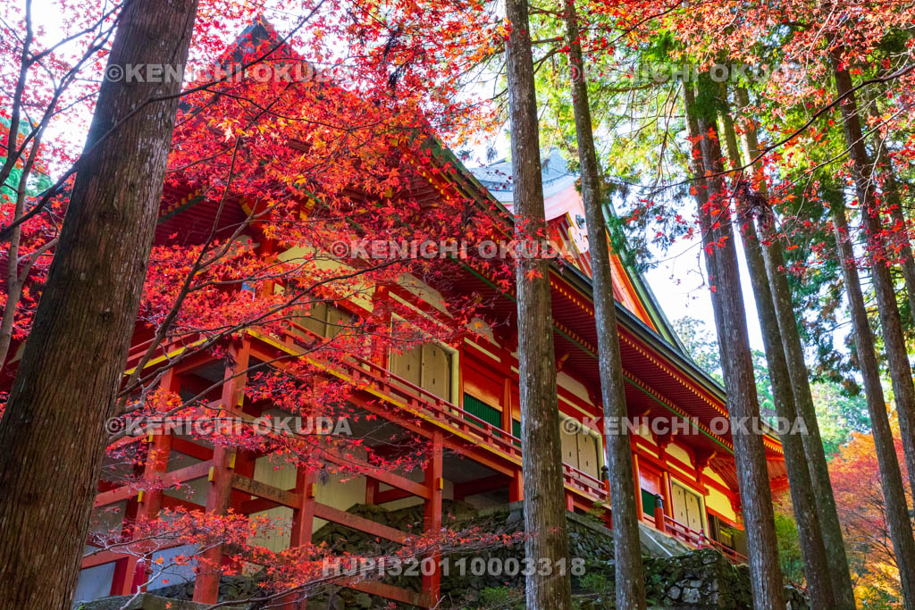 滋賀県　比叡山延暦寺（横川）　紅葉と横川中堂