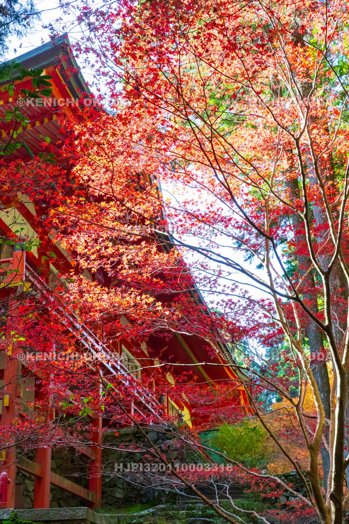 滋賀県　比叡山延暦寺（横川）　紅葉と横川中堂