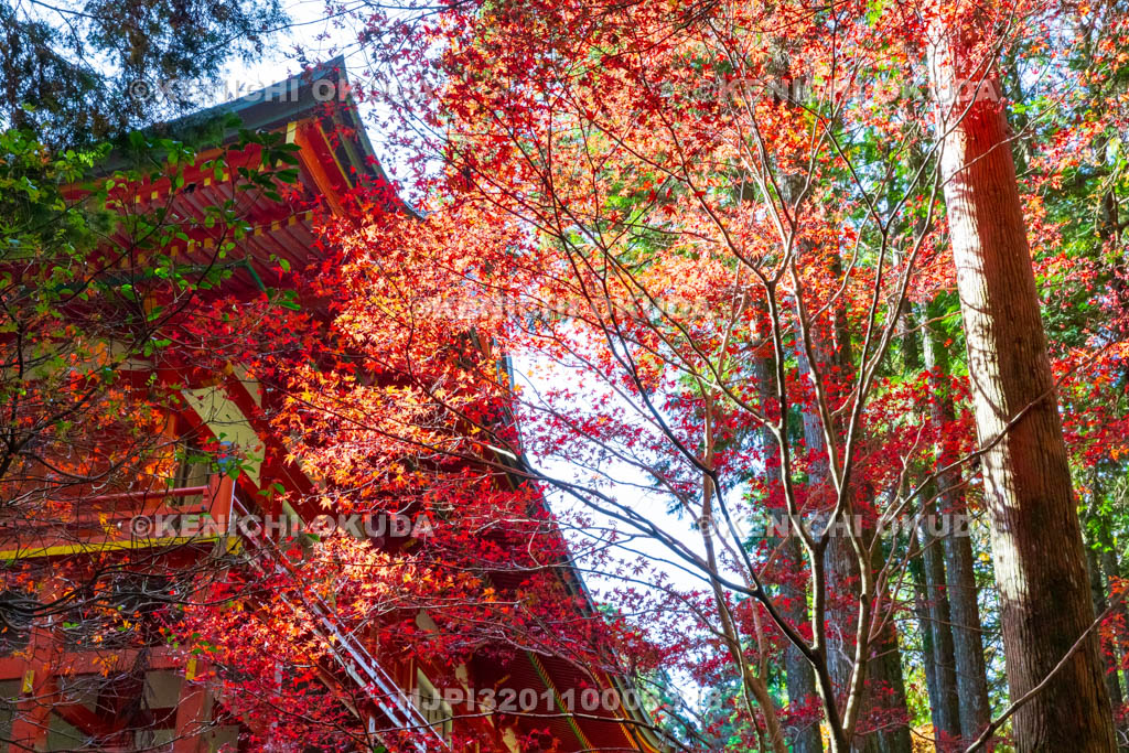 滋賀県　比叡山延暦寺（横川）　紅葉と横川中堂