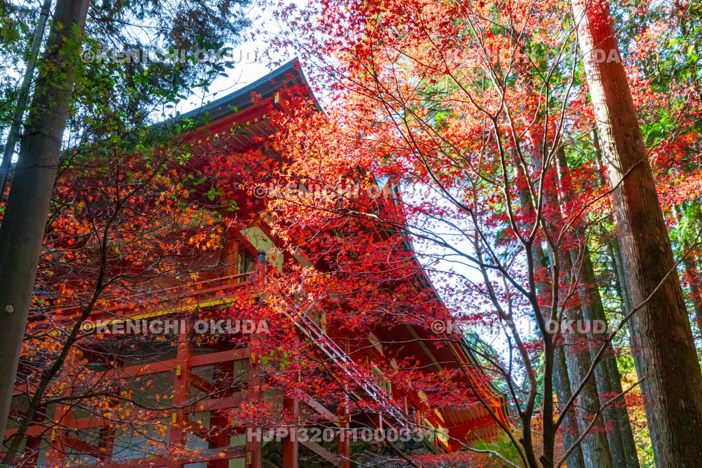 滋賀県　比叡山延暦寺（横川）　紅葉と横川中堂