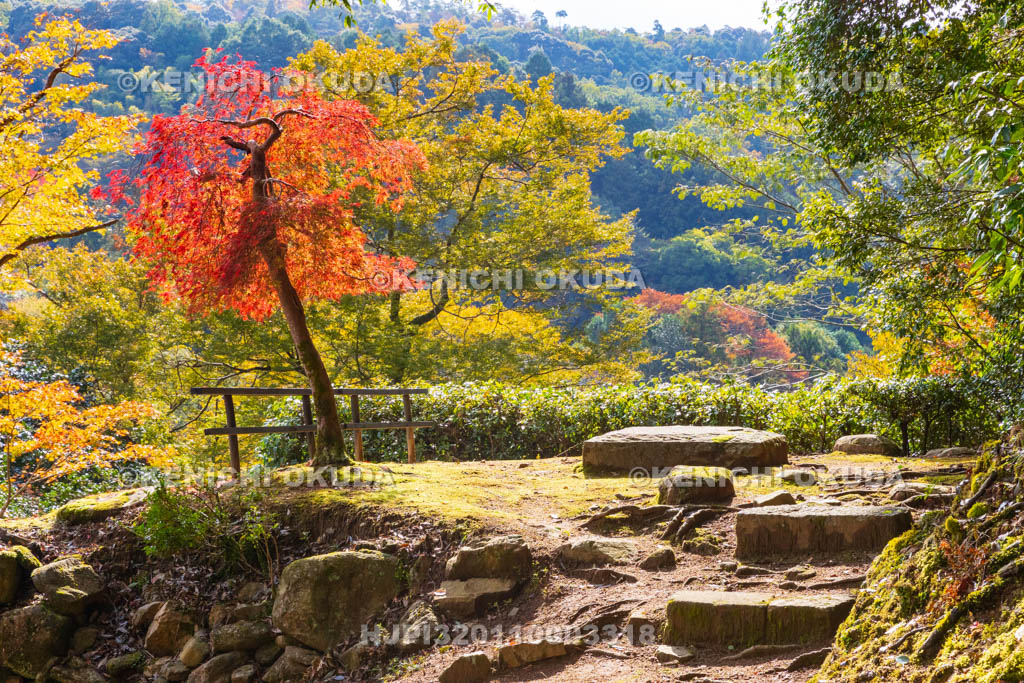 奈良県 正暦寺 紅葉
