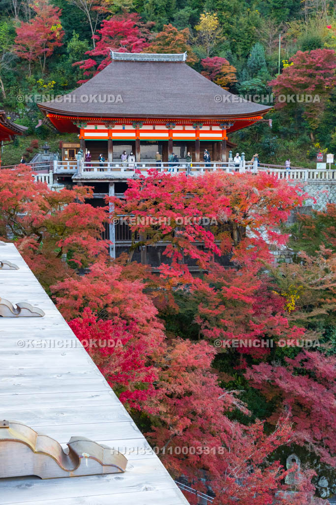 京都府　清水寺　紅葉と奥の院
