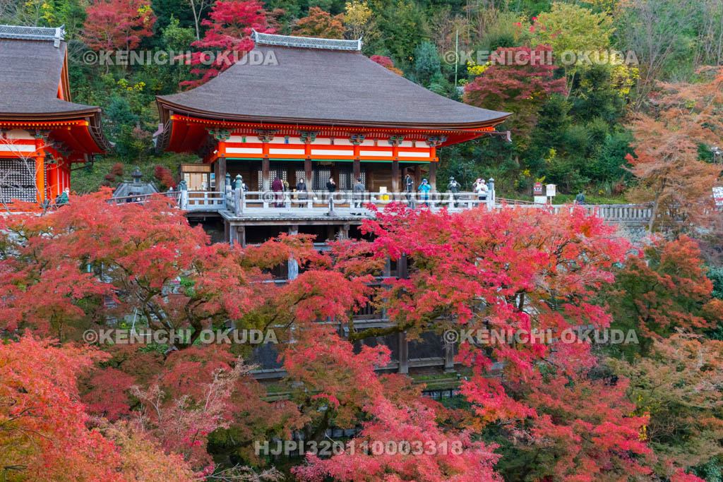 京都府　清水寺　紅葉と奥の院