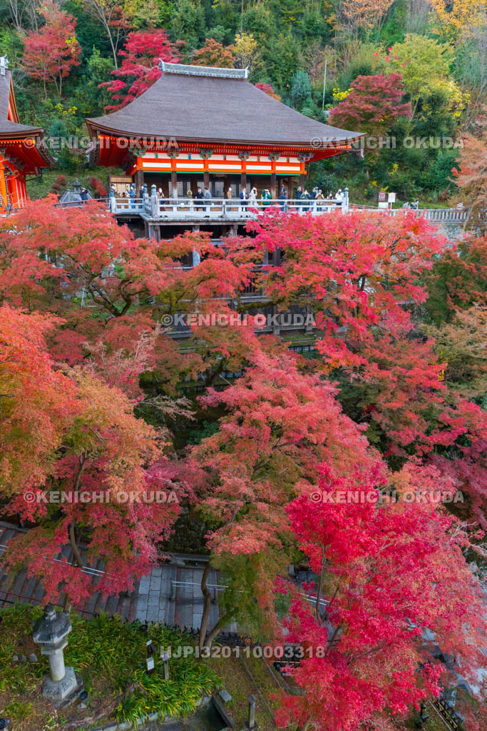 京都府　清水寺　紅葉と奥の院