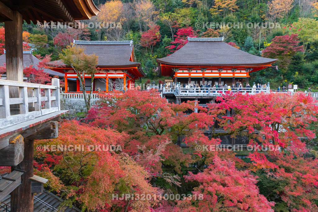 京都府　清水寺　紅葉と阿弥陀堂・奥の院