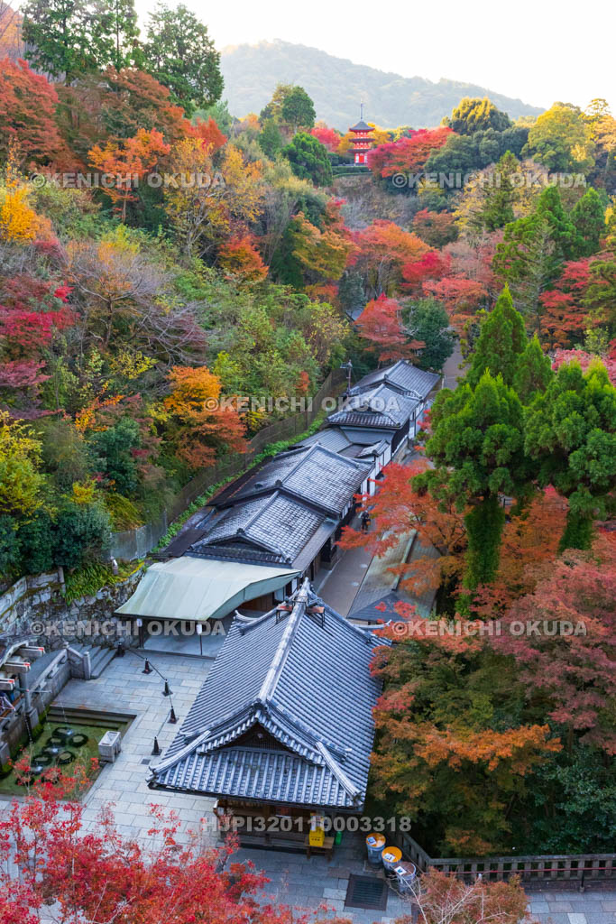 京都府　清水寺　紅葉