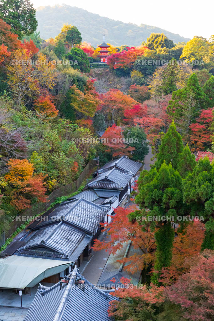 京都府　清水寺　紅葉