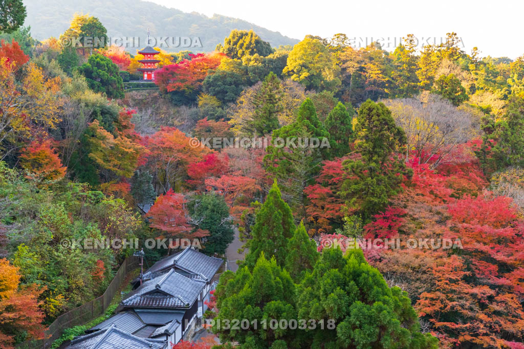 京都府　清水寺　紅葉