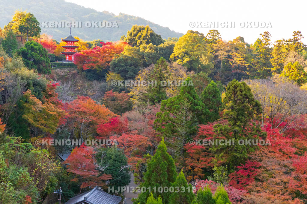 京都府　清水寺　紅葉と子安塔