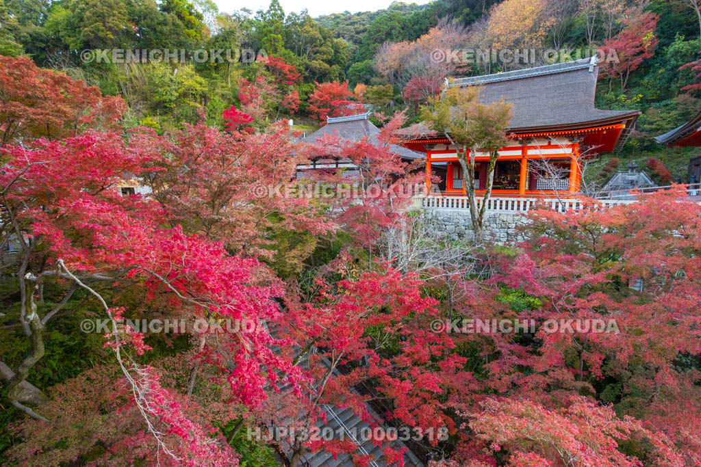 京都府　清水寺　紅葉