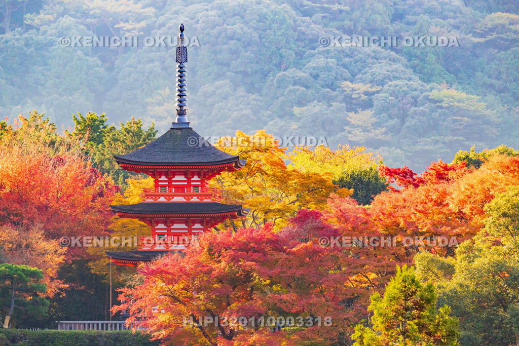 京都府　清水寺　紅葉と子安塔