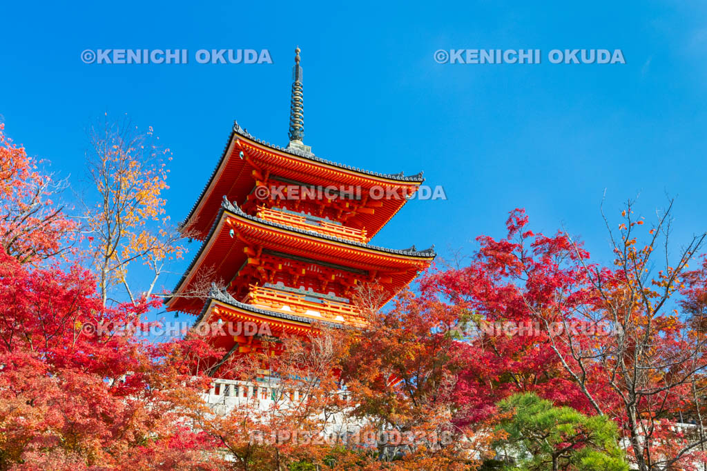 京都府　清水寺　紅葉と三重塔