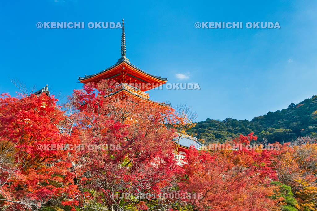 京都府　清水寺　紅葉と三重塔