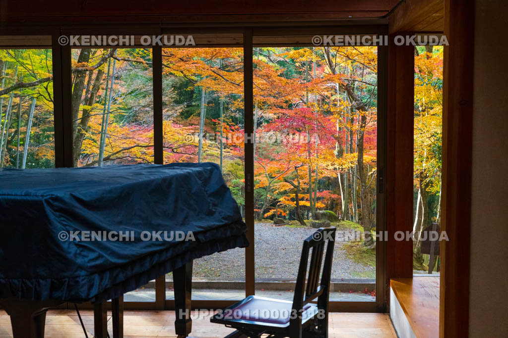 大阪府　神峯山寺　紅葉と真珠院のピアノ