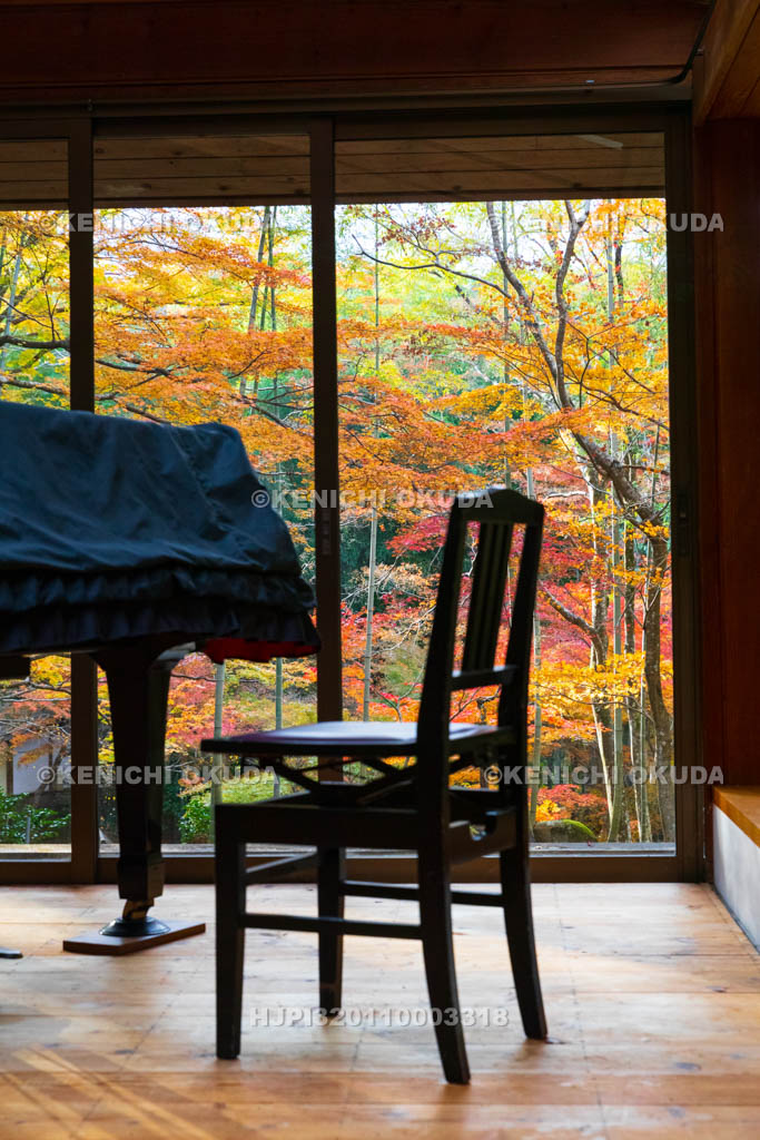 大阪府　神峯山寺　紅葉と真珠院のピアノ