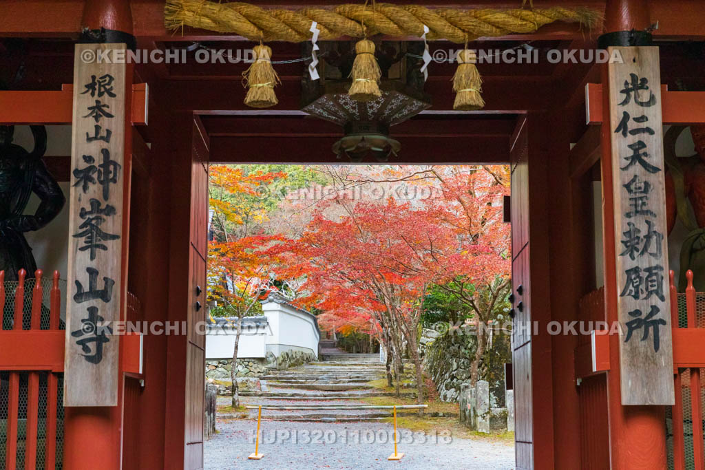 大阪府　神峯山寺　紅葉と山門（仁王門）