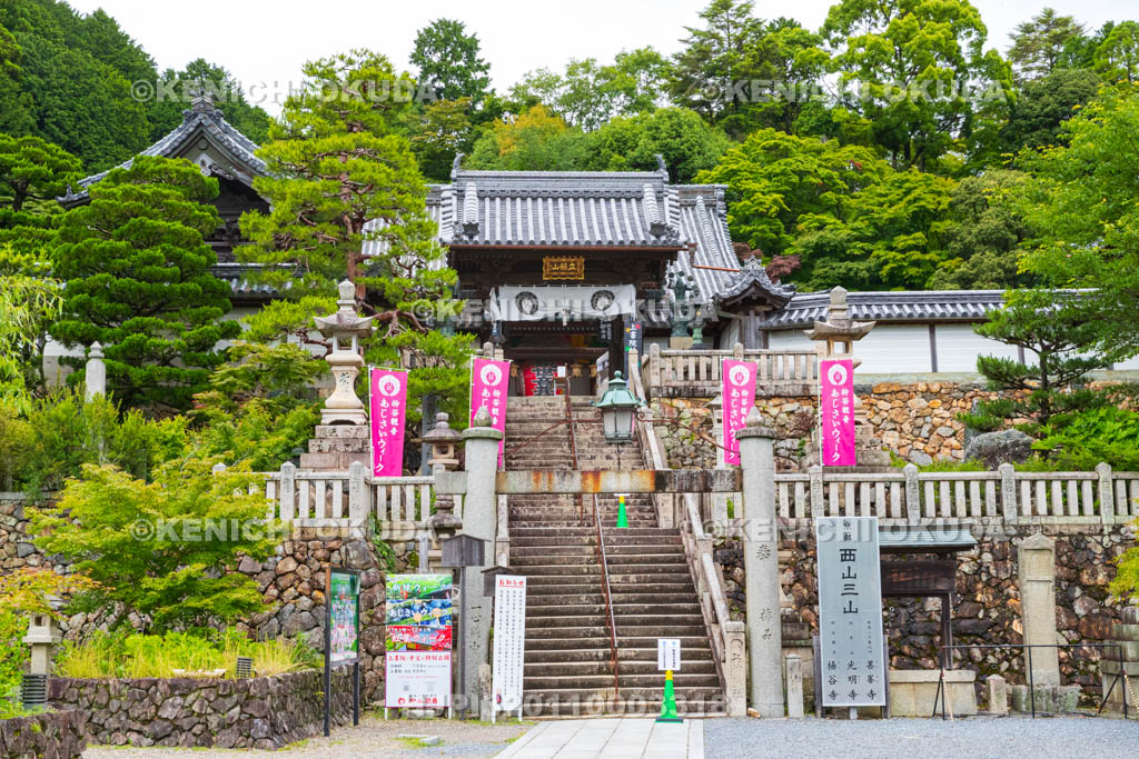 京都府　柳谷観音楊谷寺