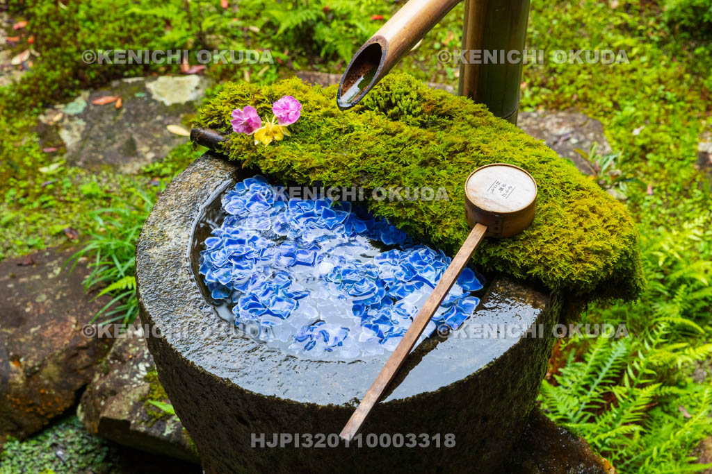 京都府　柳谷観音楊谷寺　庭手水
