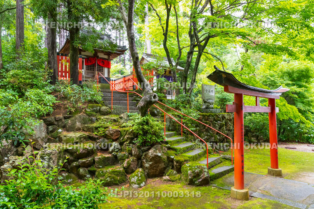 京都府　柳谷観音楊谷寺　眼力稲荷社（左）　愛染堂・あいりきさん（右）