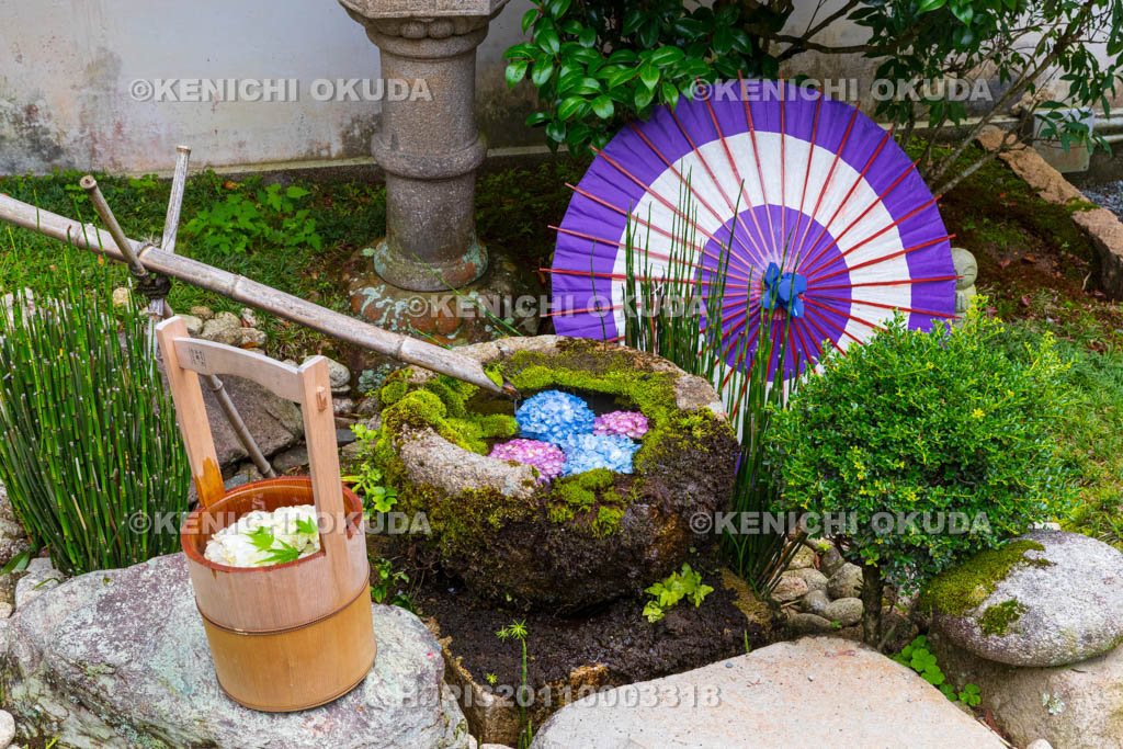京都府　柳谷観音楊谷寺　苔手水