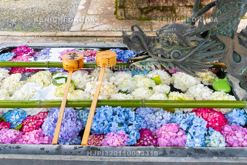 京都府　柳谷観音楊谷寺　龍手水