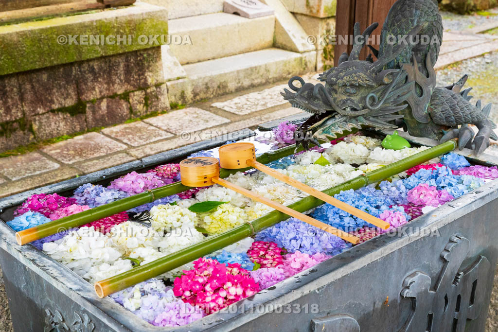 京都府　柳谷観音楊谷寺　龍手水