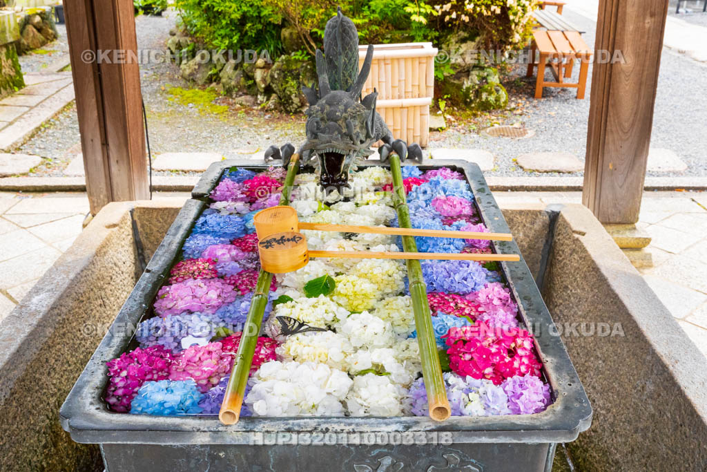 京都府　柳谷観音楊谷寺　龍手水