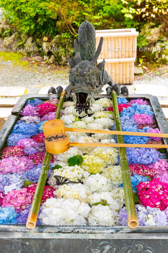 京都府　柳谷観音楊谷寺　龍手水