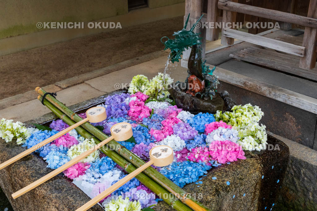 京都府　藤森神社　花手水
