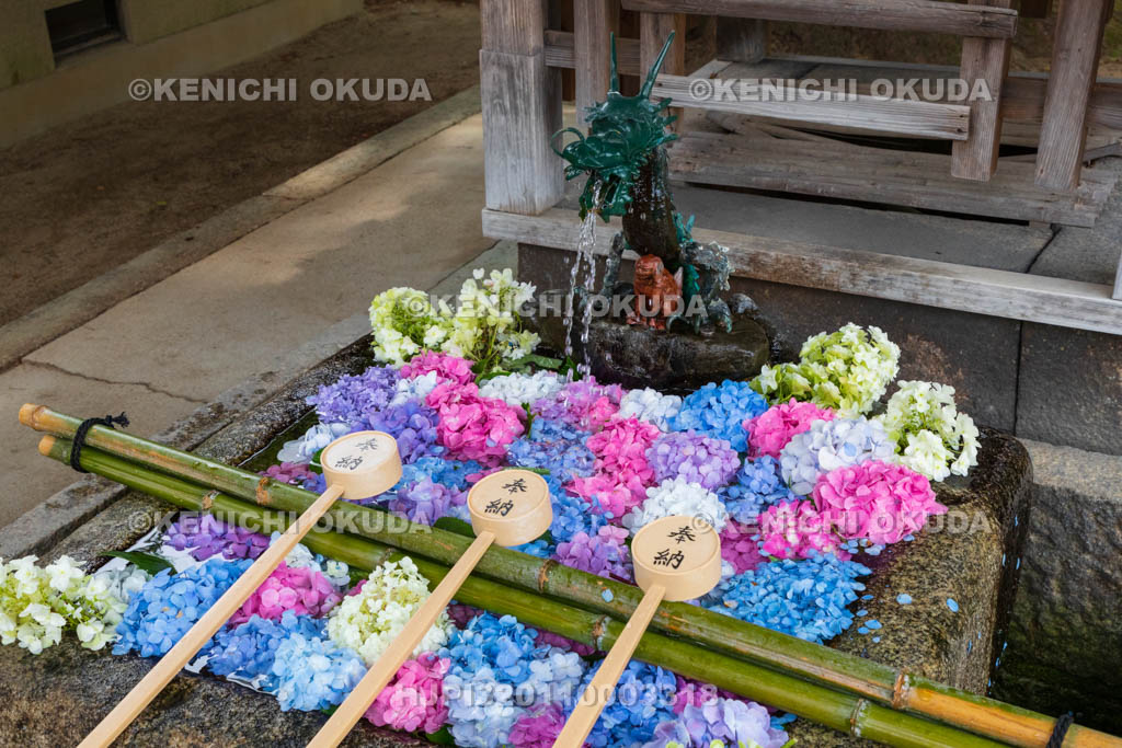 京都府　藤森神社　花手水